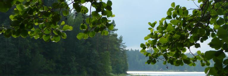 renz möbel handelt nachhaltig